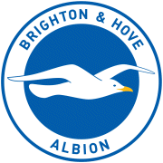 Visit The Millennium Brighton & Hove Albion FC English Premier League Webpage On This Site