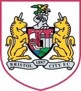 Visit The Millennium Bristol City FC English Premier League Webpage On This Site