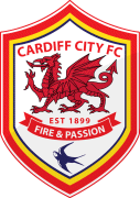 Visit The Millennium Cardiff City FC English Premier League Webpage On This Site
