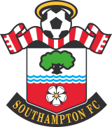 Visit The Millennium Southampton FC English Premier League Webpage On This Site